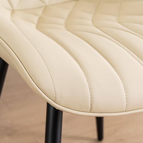 Mid Century Modern Comfortable Kitchen Dining Chairs, Set of 2