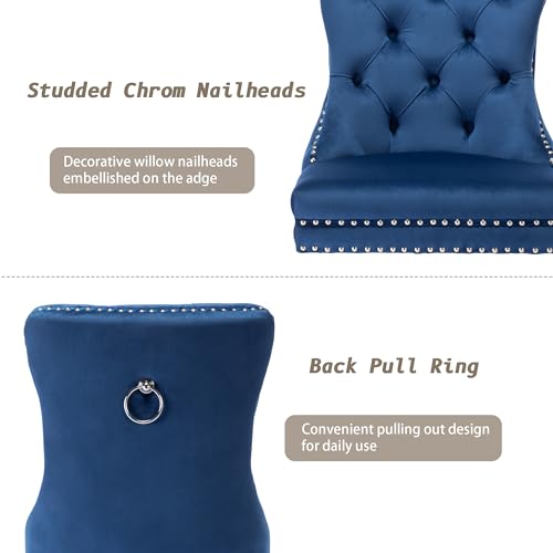 Nikki Collection Modern Blue Velvet Dining Chair Set of 2