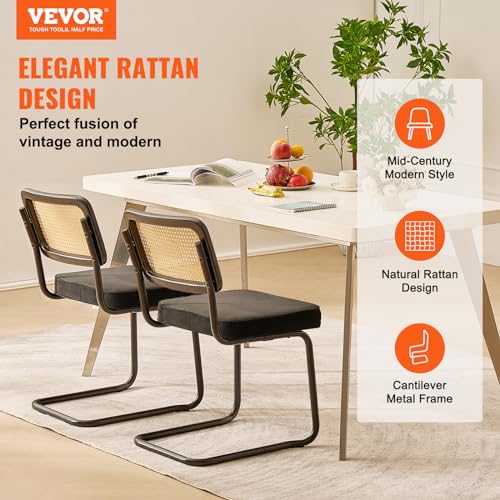 Mid Century Modern Rattan Dining Chairs Set of 2 for Living Room or Bedroom